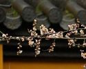 斫迦罗因陀罗
