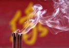 娑罗