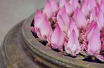 即事而真