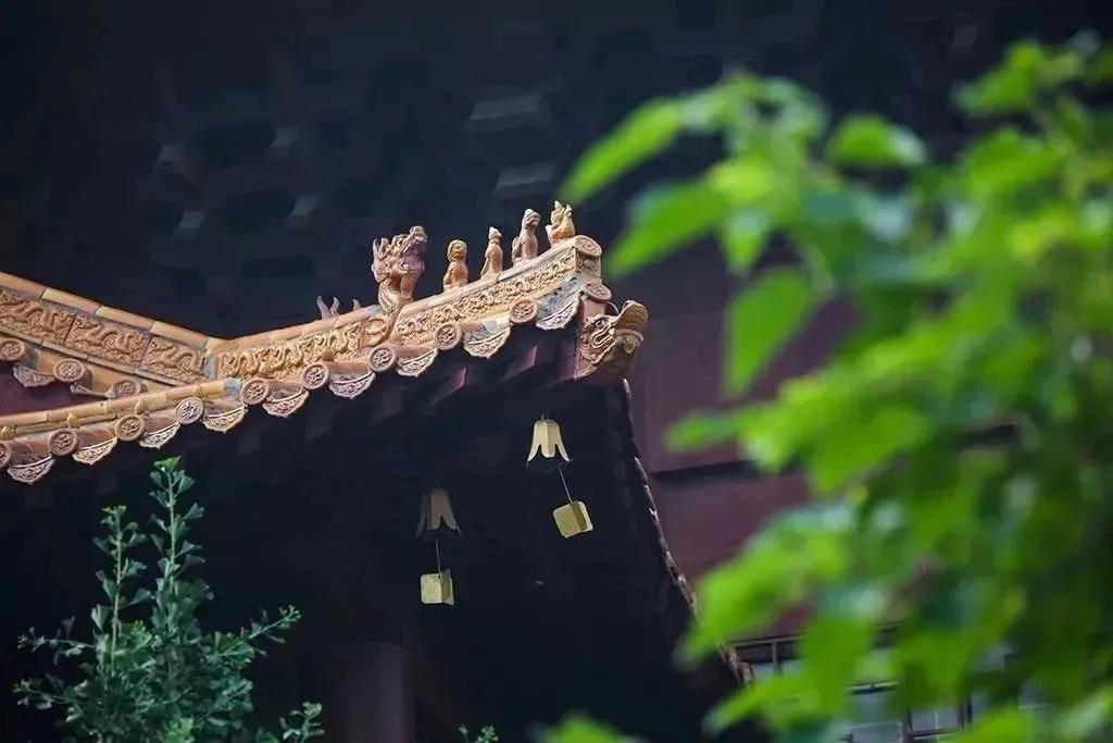1606793048123931.jpg 微信图片_20201108105918.jpg