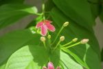 重诲