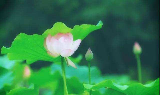 1606872749567503.jpg 微信图片_20201103143846.jpg