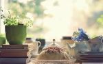往生净土忏愿仪
