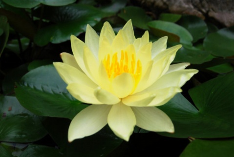 1606966484113401.jpg 微信图片_20200911134046.jpg