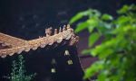 法臣