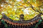 金峰《祖堂集》