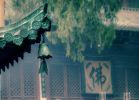 阿波兰多迦