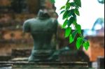 阿波那伽低