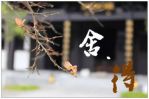 阿失丽沙