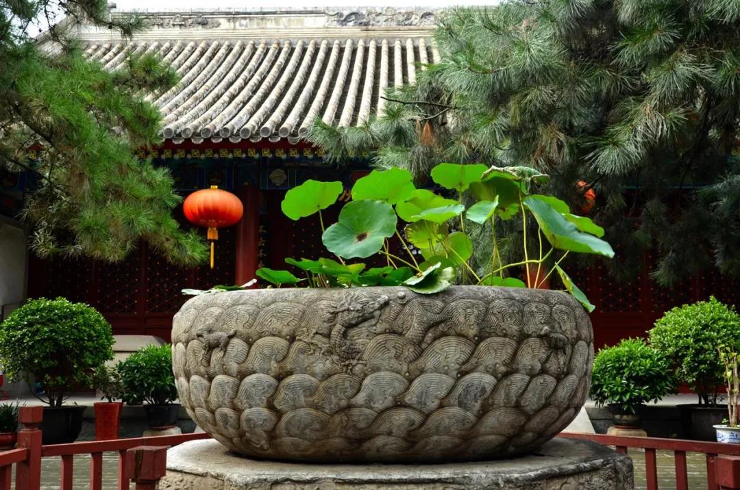1607321713951519.jpg 微信图片_20201102092639.jpg