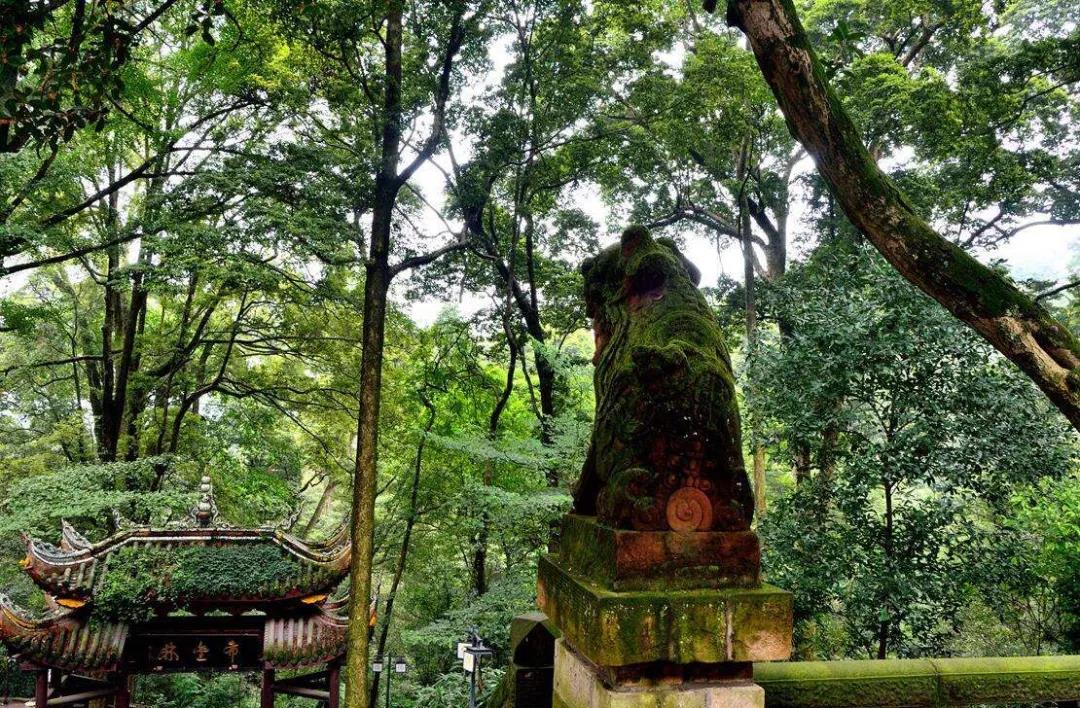 1607926546750980.jpg 微信图片_20201102092646.jpg