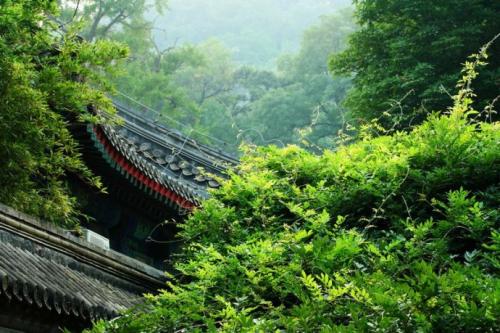 1608011827540512.jpg 微信图片_20200910154212.jpg