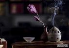 灰断