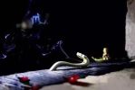同别二教