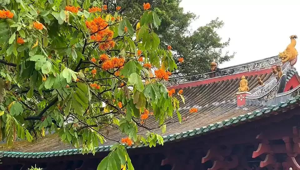 1608101086545739.jpg 微信图片_20200921135926.jpg
