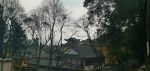 世智辩聪