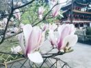世福