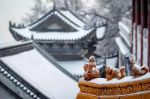 生日大会