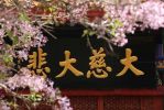 加行得
