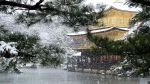 目支邻陀