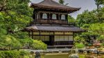 台道
