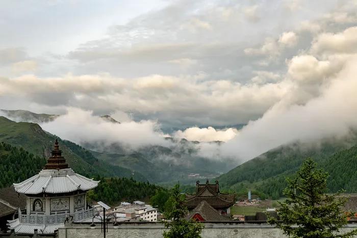 1608169506573232.jpg 微信图片_20200921105048.jpg