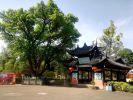 尼陀那