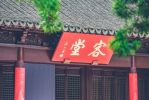 弗毗提诃