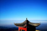 尼波罗