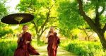 本愿正机