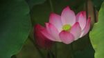 四坚信