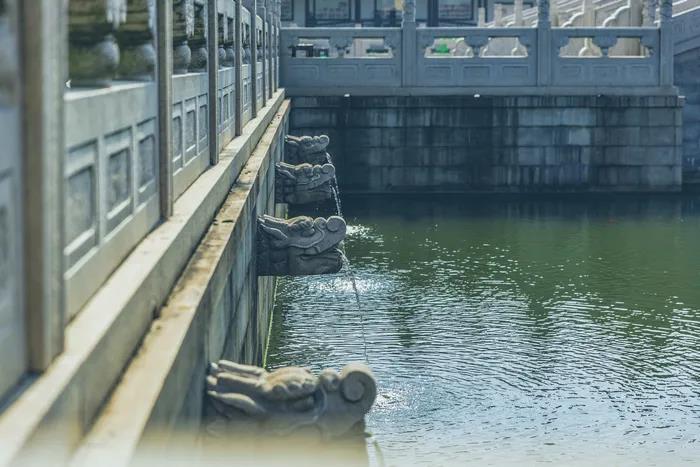 1608276546998017.jpg 微信图片_20200921102816.jpg