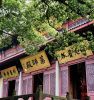 月光摩尼