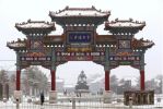 心不相应行