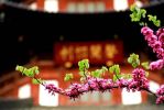 手磬