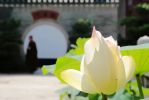 少室六门集