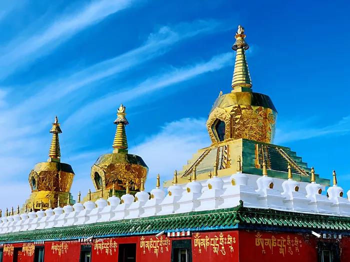 1608517990401341.jpg 微信图片_20200921110958.jpg