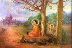 文殊佛土严净经