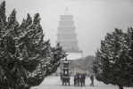 五无量