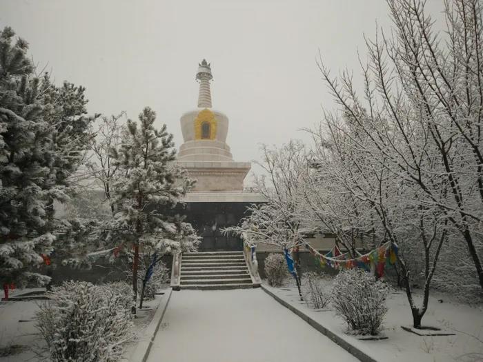 1608686520321317.jpg 微信图片_20200921100225.jpg