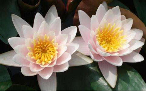 1608689222154720.png 20.png