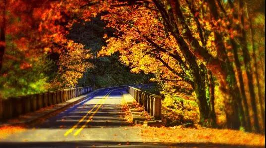 1608690319210788.jpg 微信图片_20201102093445.jpg