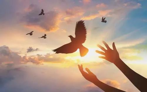 1608709505403103.jpg 微信图片_20201105165852.jpg