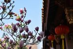 木曜
