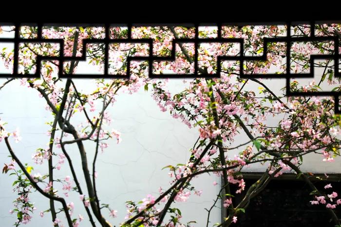 1608773077570879.jpg 微信图片_20200921111418.jpg