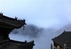三十六禽