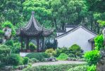 大龙权现