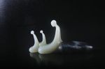 三种灌顶