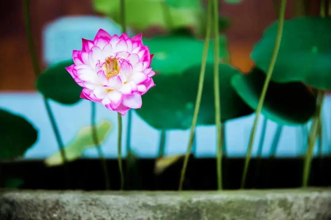 微信图片_20201106114109.jpg