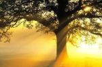 佛智法师《释氏稽古略续集》